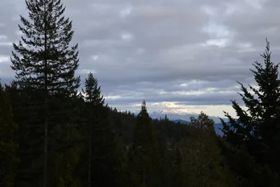 DSC_0078 (Large).JPG